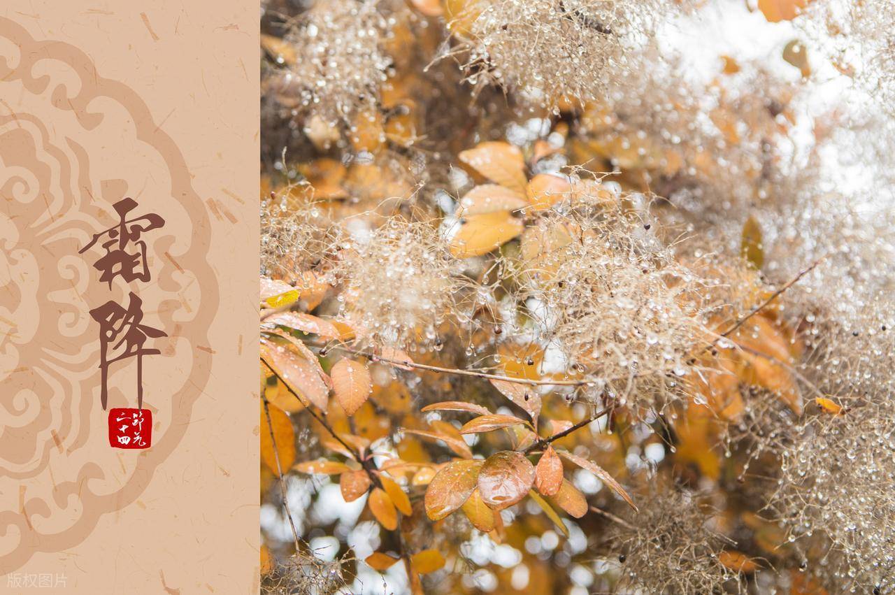 原创            10月23霜降，提醒中老年人：1不去，2不吃，3要忌，为冬季做准备