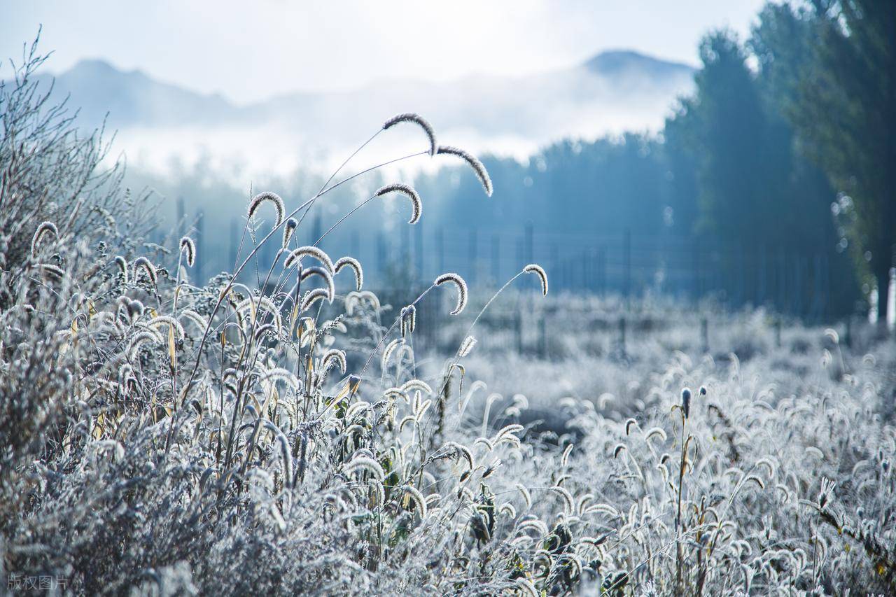 “霜降5不吃，病就不来找”霜降过后少吃这5样，应季而食顺利入冬
