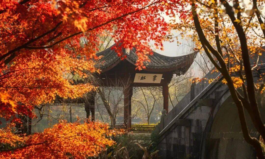 【思政】计算机科学导论：中国计算机教育之路 | 文末送畅销书籍