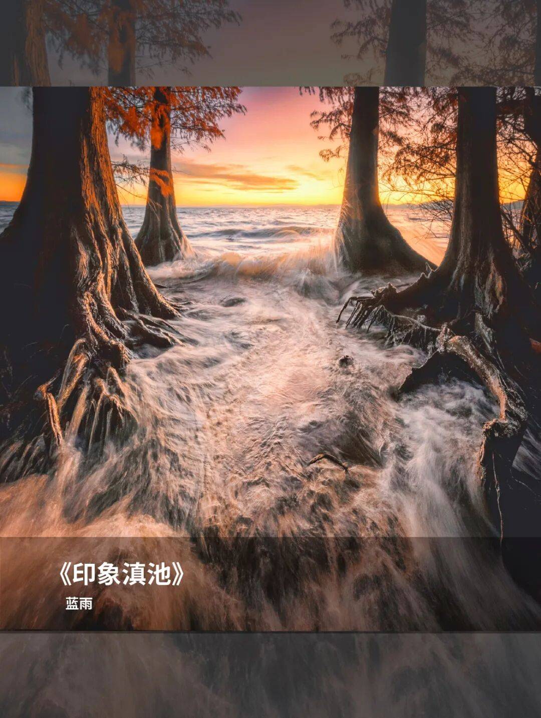 【佳能】佳写真丨追光者的自然日记