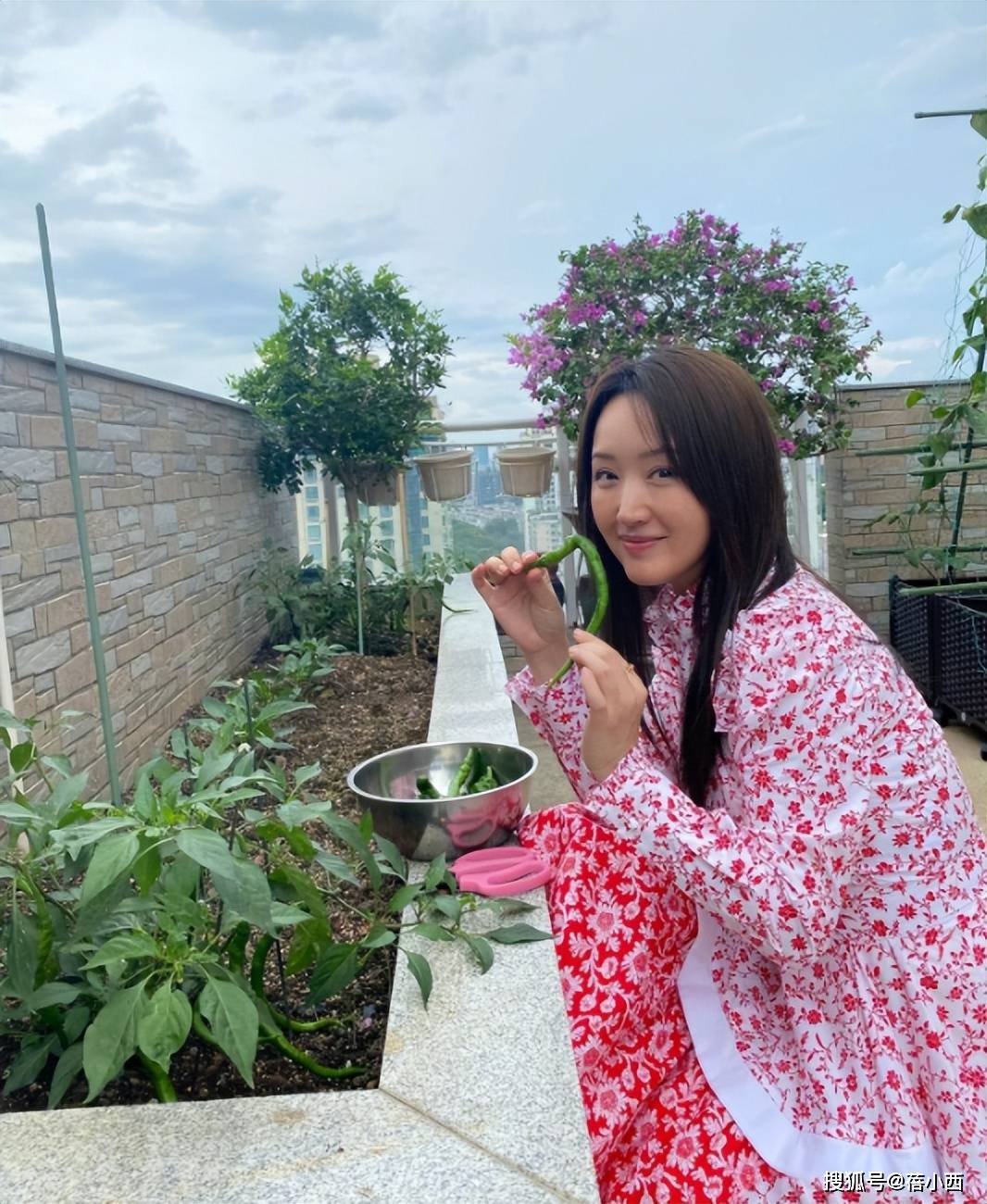 原创            54岁杨钰莹不见老！穿碎花裙在豪宅摘菜好年轻，阿姨年纪却像00后