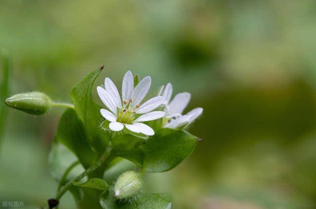 其实，一个男人对你是专情，还是花心，看细节就知道
