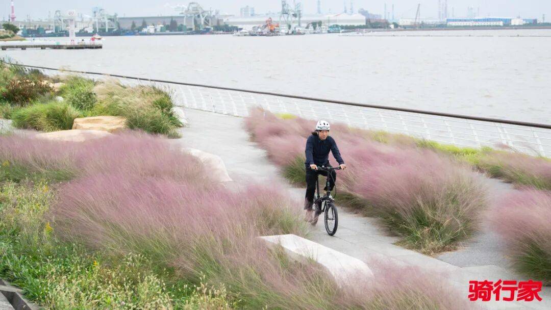 轻快之下的平衡艺术 2025大行 Archer P8 折叠车评测