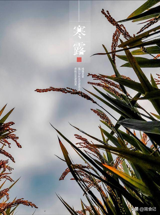 原创            寒露节气，要懂得忌嘴！少吃“2样”，多吃“3白”，身体健康过冬