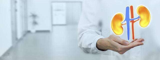 原创            为啥肾病患者越来越多？医生坦言：家里有这4样东西，尽快清理