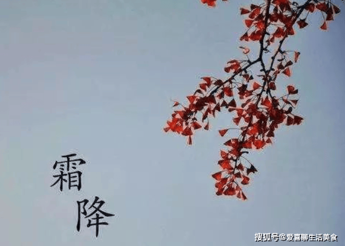 原创            霜降快到了，有钱没钱多吃“地下5宝”，温暖从脚开始，做好入冬准备！