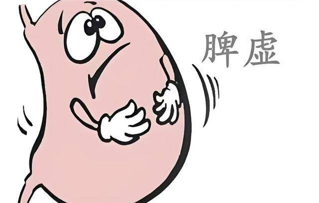 脾虚别乱吃药！3类证型+对应中成药，帮你精准选对“健脾方”