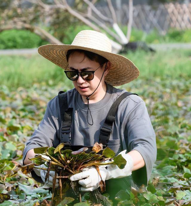 黄磊劝年轻人别躺平，自己却上躺平节目，揭开了娱乐圈隐形遮羞布