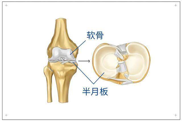 科普 | 国庆出游膝“喊累”？秋日降温疼得慌？这份护膝攻略超实用