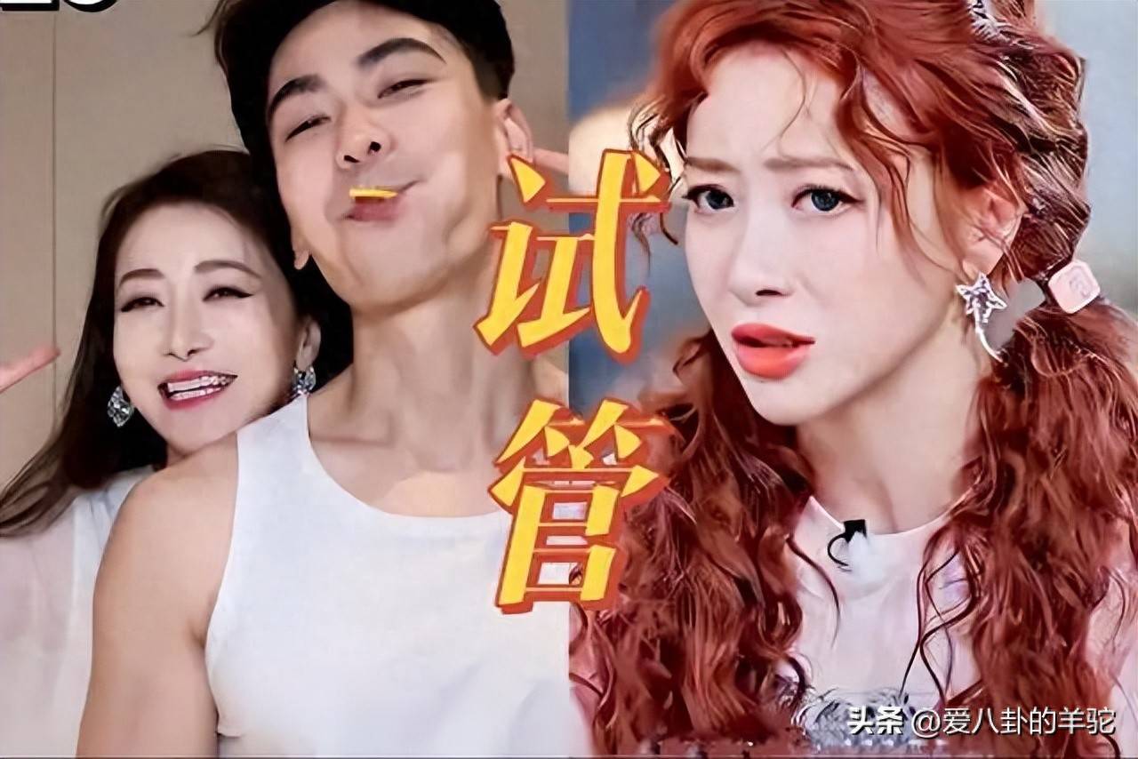 原创            戴向宇一句大实话，戳中多少夫妻的软肋：没孩子的婚姻很难走下去