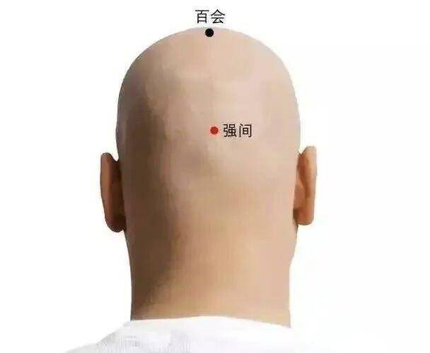 强间穴:通脑止痛的后枕关键穴!缓解头痛、眩晕超实用,定位用法