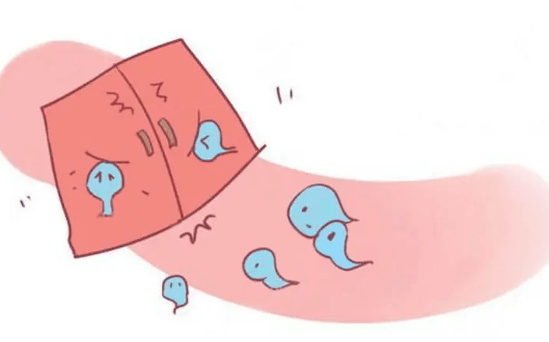 输卵管炎症：了解它，预防它，守护女性生育力！