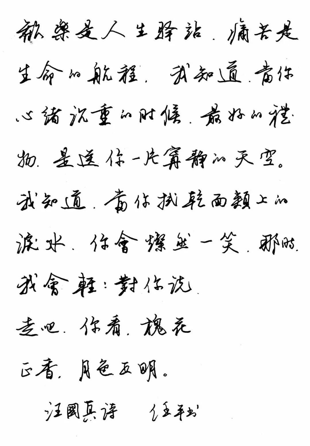 任平硬笔书法欣赏