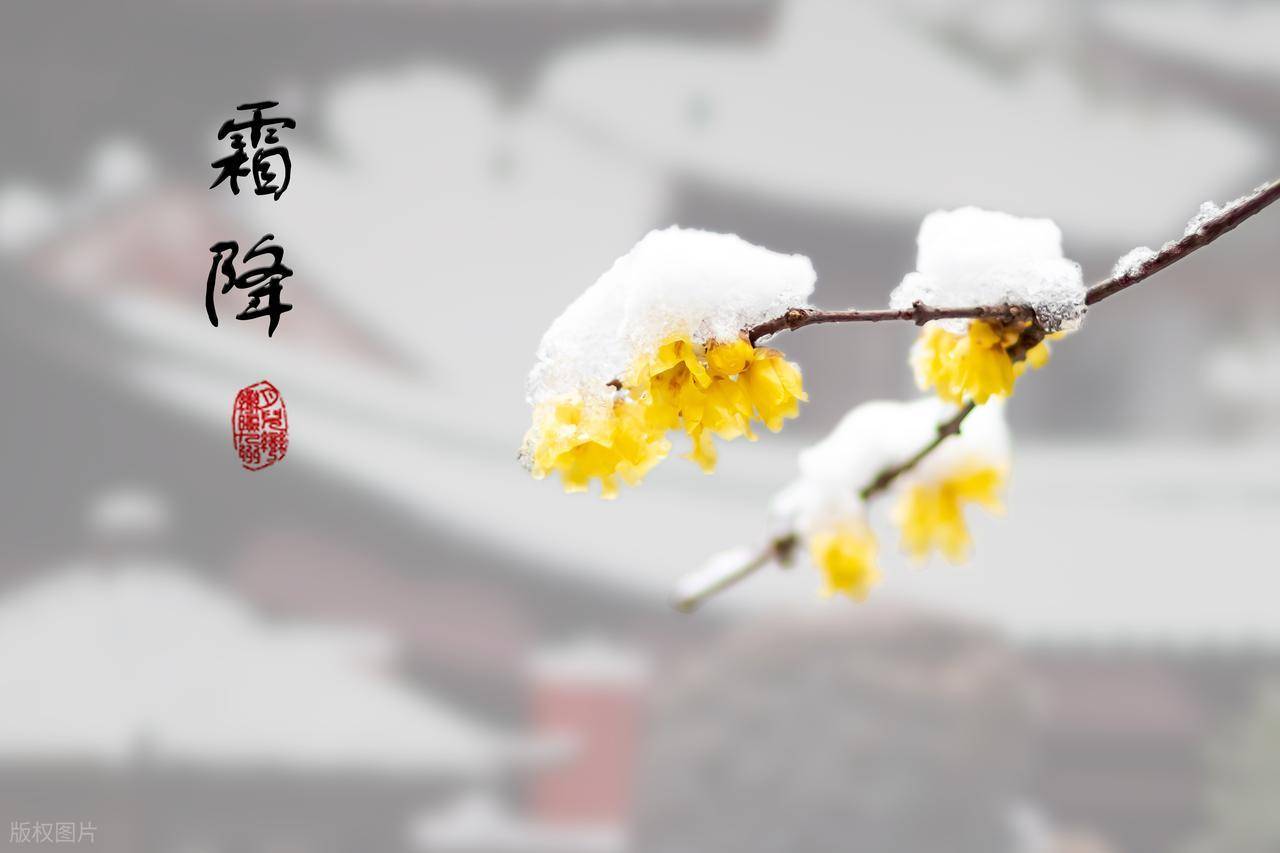 原创            “霜降一碗汤，不用开药方”，明日霜降，多喝这4汤，安稳迎冬天