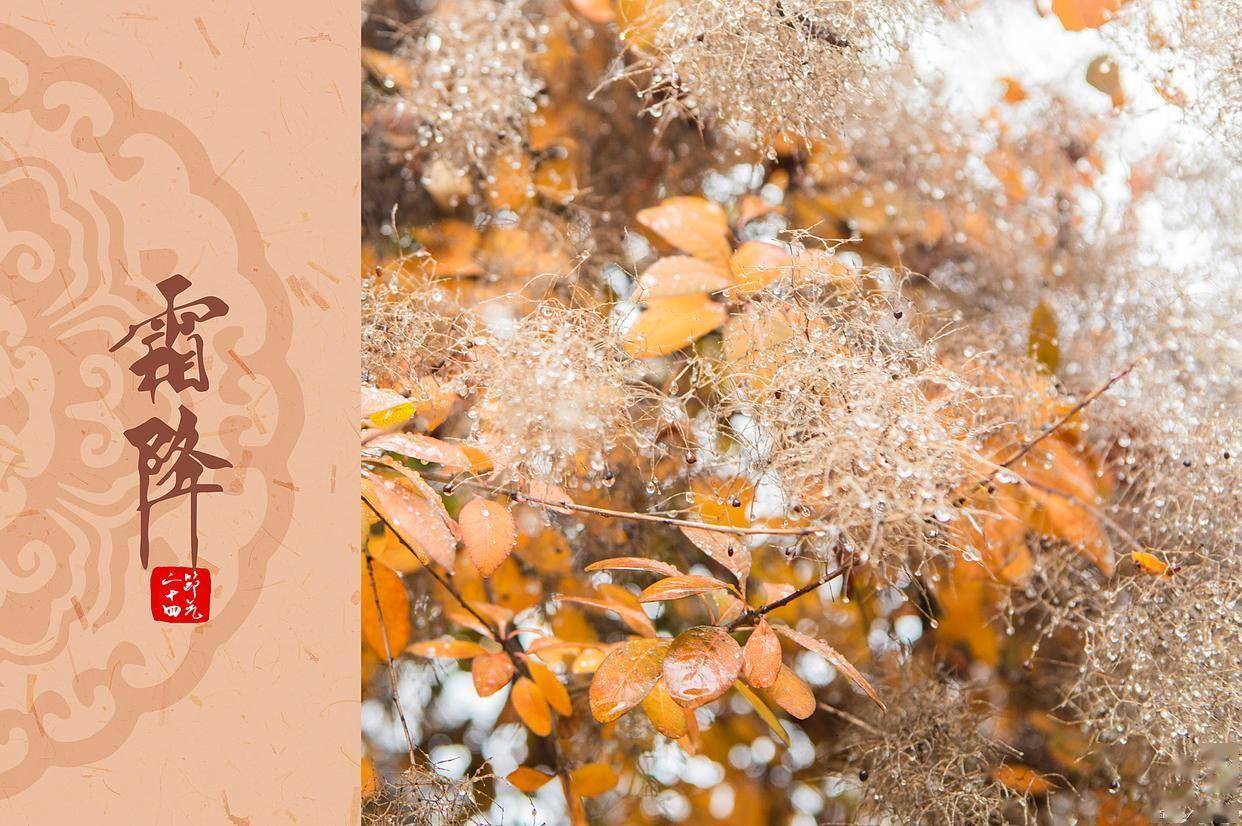 原创            明日霜降，记得：1物不吃，2地不去，4事不做，看老话咋说