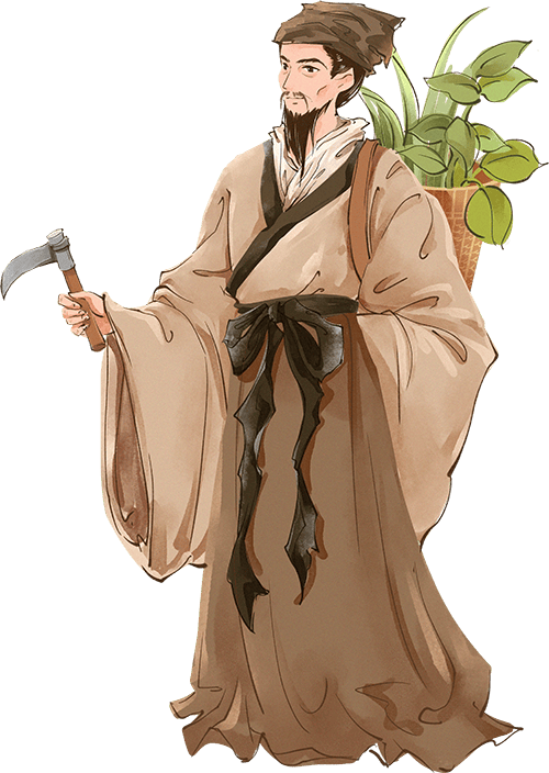 医说健康 | 传统中药与美容——薏苡仁