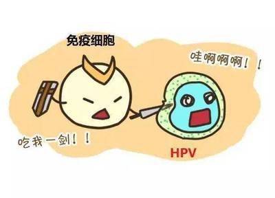误区：年纪大了就不会感染 HPV？各年龄段都有风险