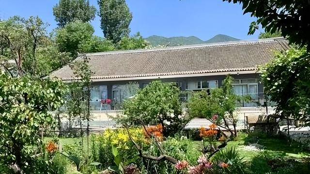 城市中年群体“洄游”乡村：四十不惑，寻根院居