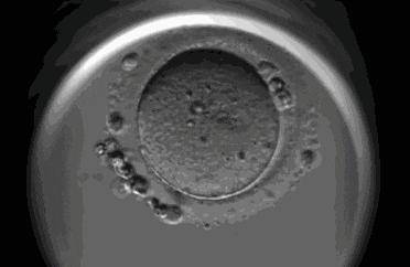 医生提醒：3种常见炎症，拖着不治会“致癌”