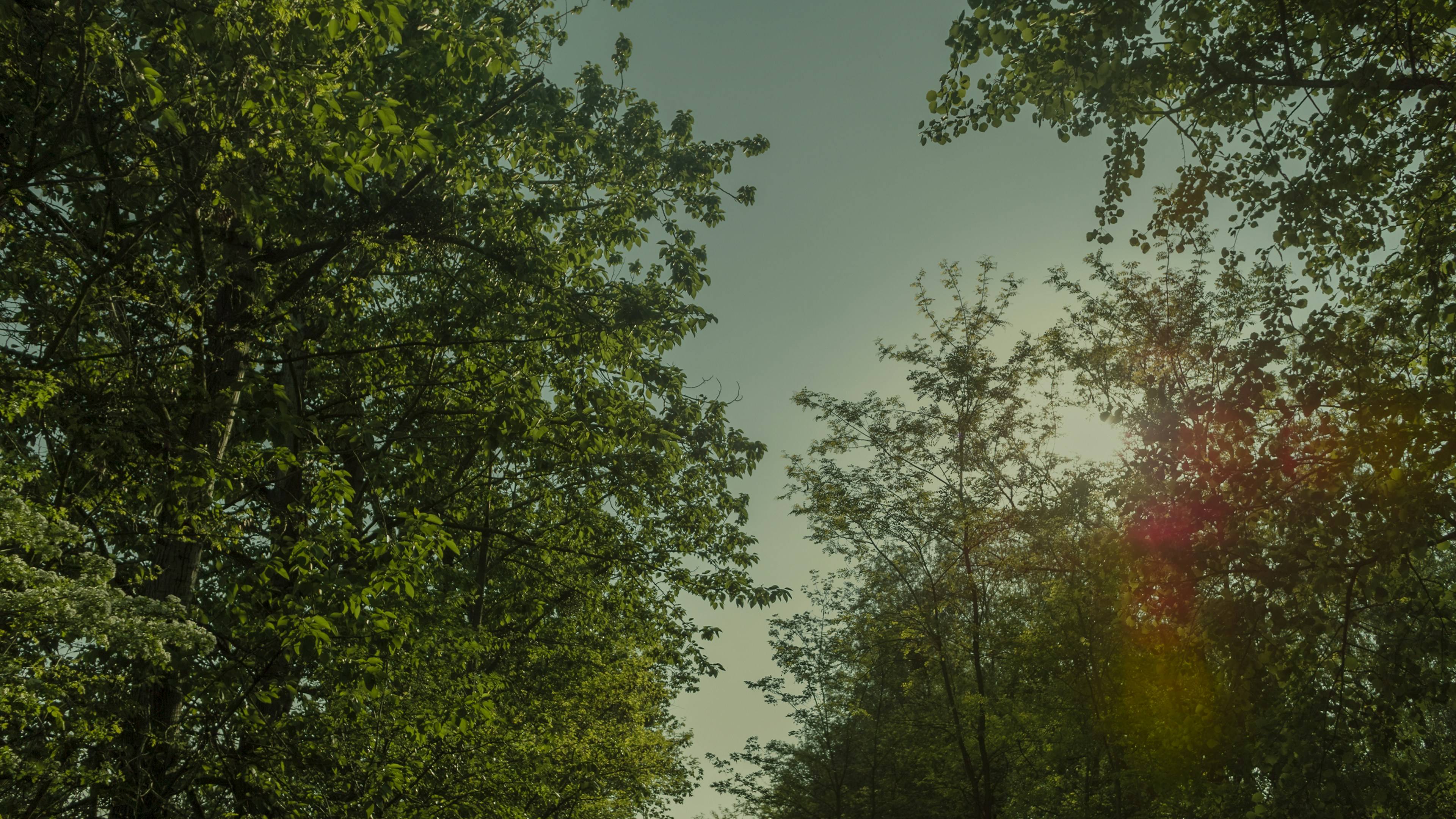 心脏病的真凶找到了?最新研究:感染才是幕后黑手