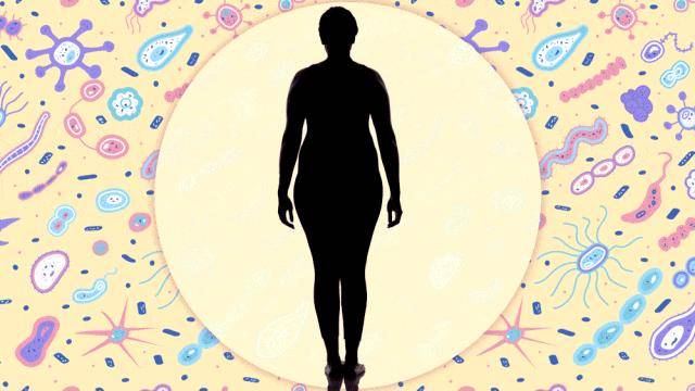 检测了3000多种食物的抗氧化效果，这几种性价比最高