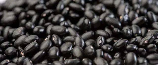 养肾养发好帮手！解锁黑豆的3种日常吃法