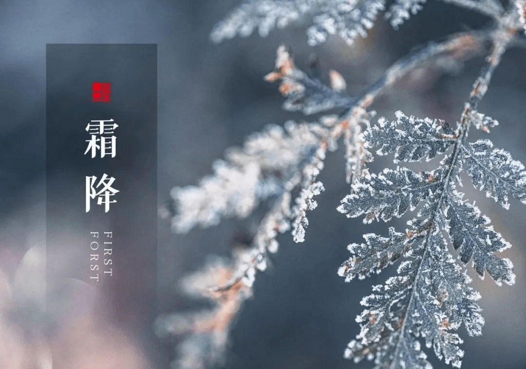 原创            “冬补不如霜降补”，明日霜降，建议多吃五样，补足营养，为入冬做准备