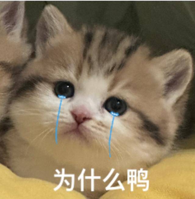 几个月了还没怀上？答案藏在这三个细节里