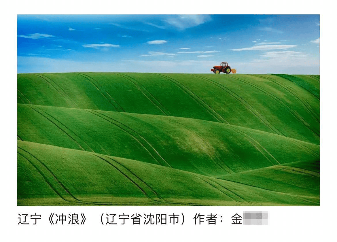 辽宁传媒学院一教师摄影作品涉嫌抄袭被取消入展资格，同校美术系主任此前被认定抄袭