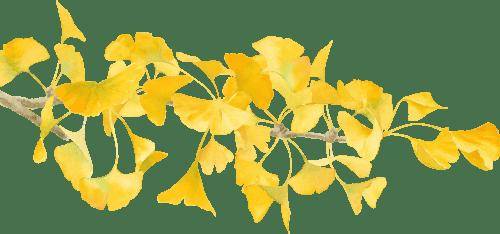 【北京疾控提醒您】抵御秋燥，守护呼吸道健康！ 9种食材滋补润肺正当时