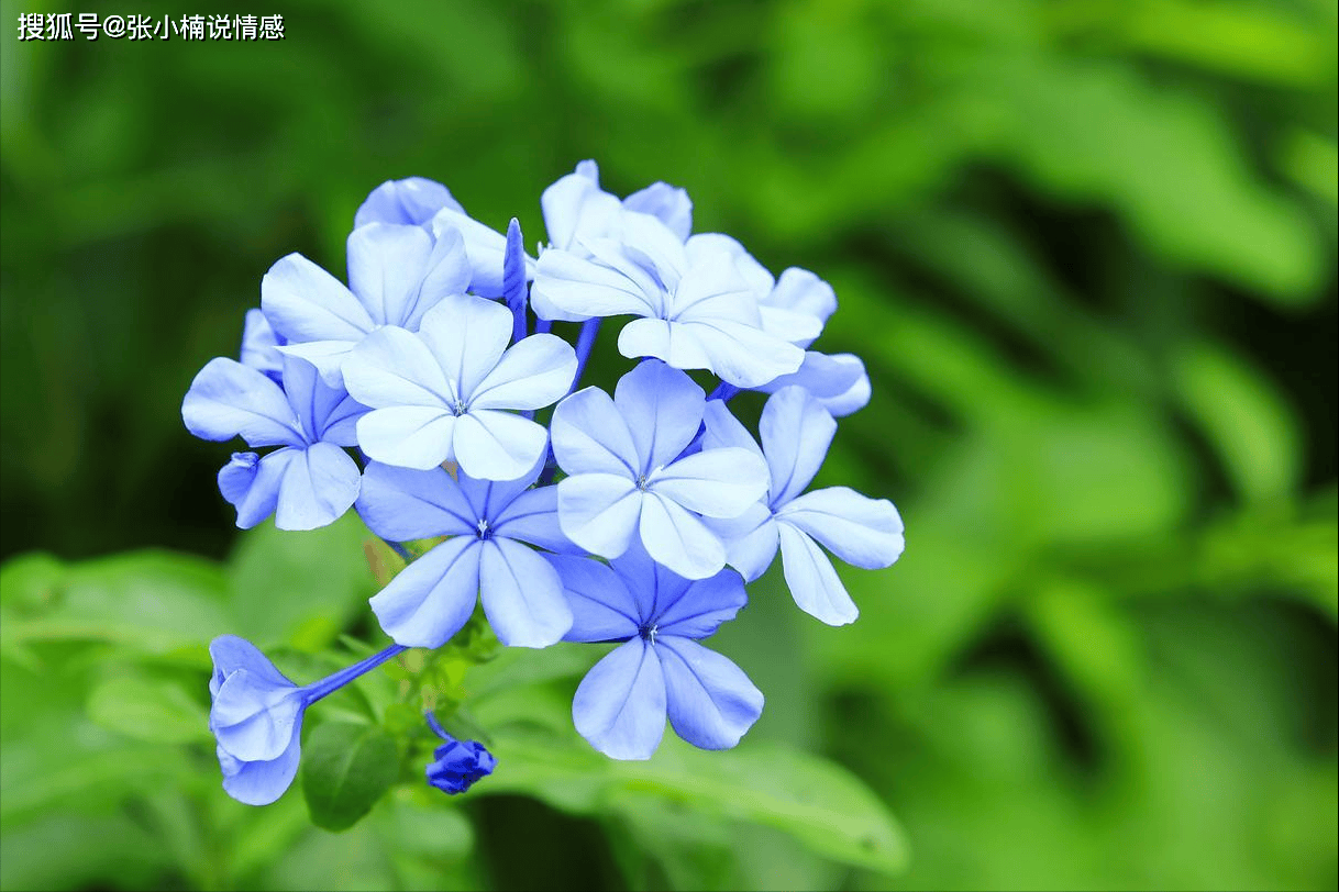 原创            征服一个男人，只要做到这几点就够了，很容易