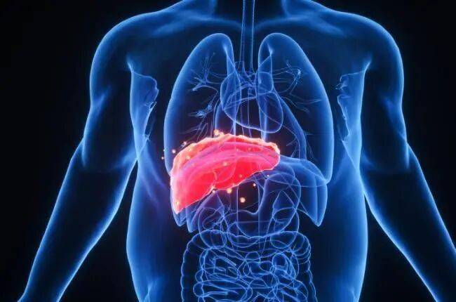 肝部开始癌变时,身体通常会给出“提醒”,要多注意