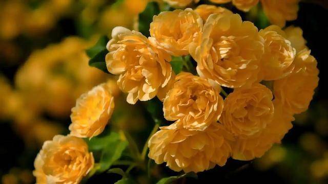 男人对你有以下三种反应，就是爱上你了