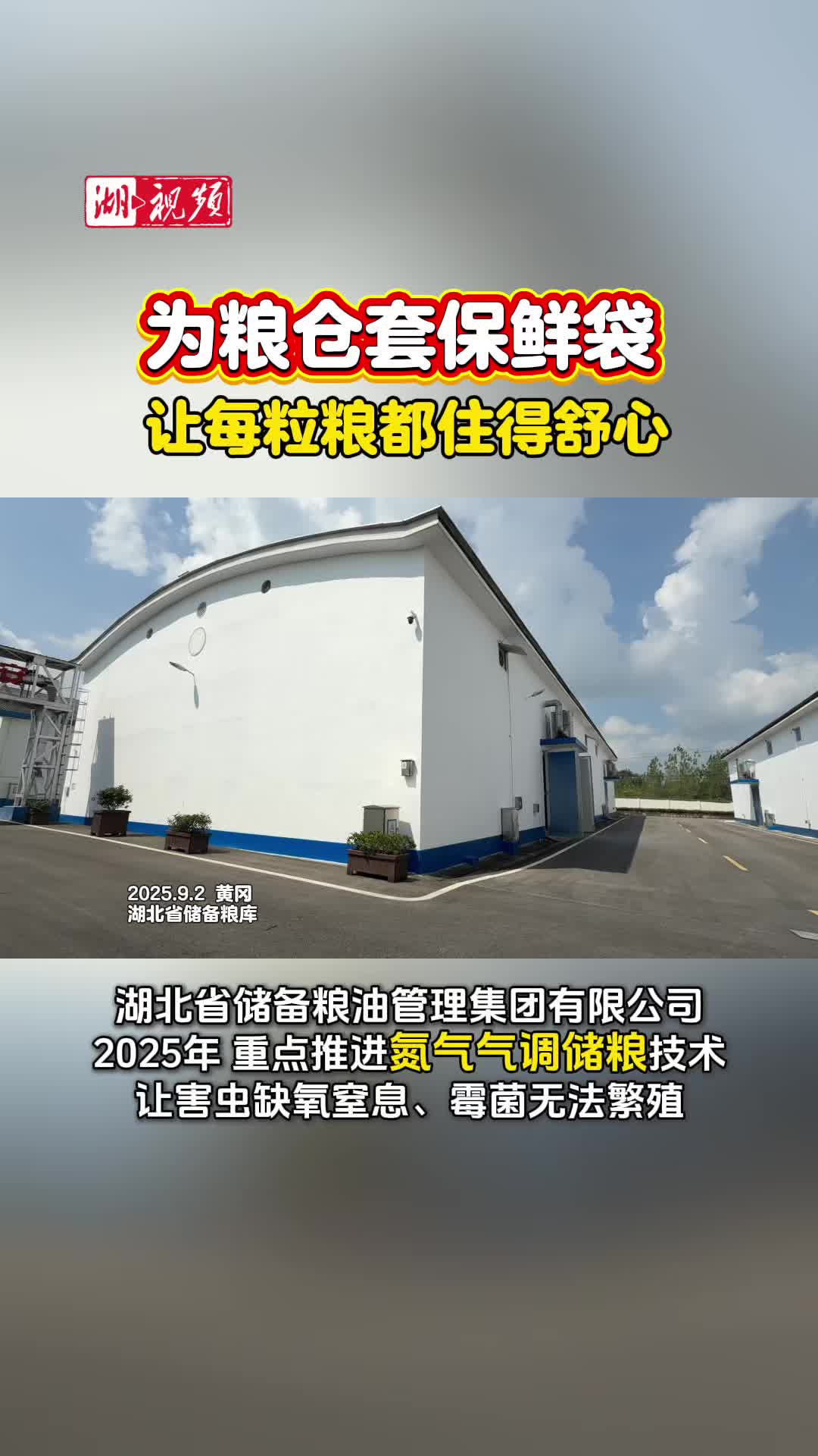 给输粮机打伞、为粮仓套保鲜袋！湖北省储备粮库贴心“抢”秋粮