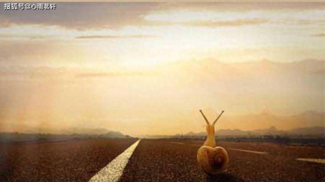 人这一生必须要过的三关:自我认知，责任担当，逆境突破