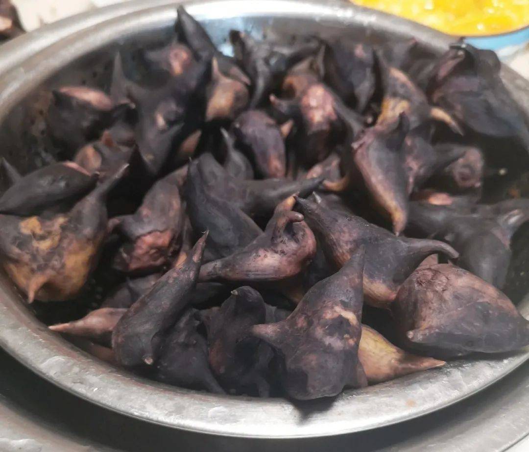 不吃它实在亏，蛋白质是山药4倍，清热润肺增免疫，现在吃正当时