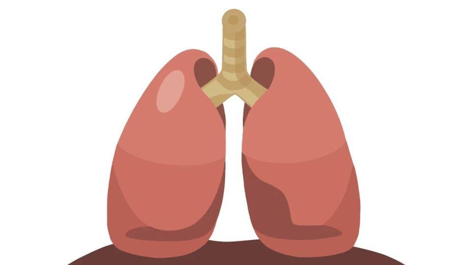 原创            肺癌早期如何判明？3个手段若能合理运用，或能早察觉早治疗