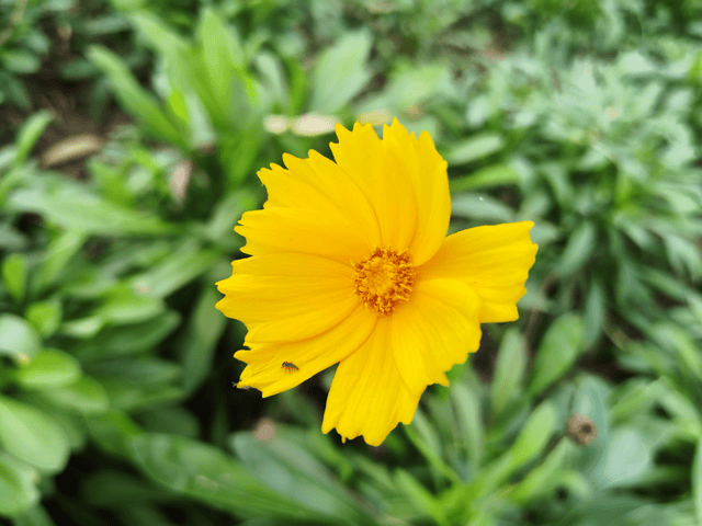 原创            上过很多课懂很多道理，还是管不好孩子，从9字箴言开始反向呈现