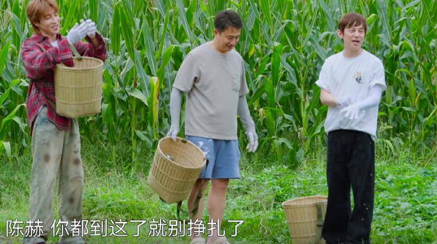 原创            《向往8》越来越好看,两大反转挽回口碑,观众:早就该这么拍了