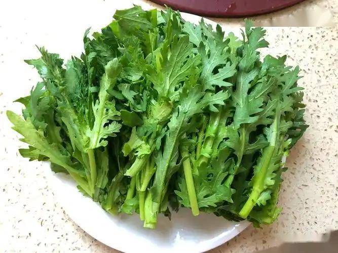 原创            霜降将至，这菜要使劲吃！一润燥、二化痰、三护眼强免疫，别不懂