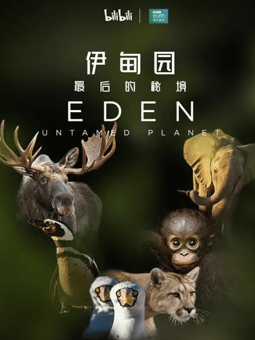 豆瓣9.2，顶级洗眼神片，每一帧都净化心灵