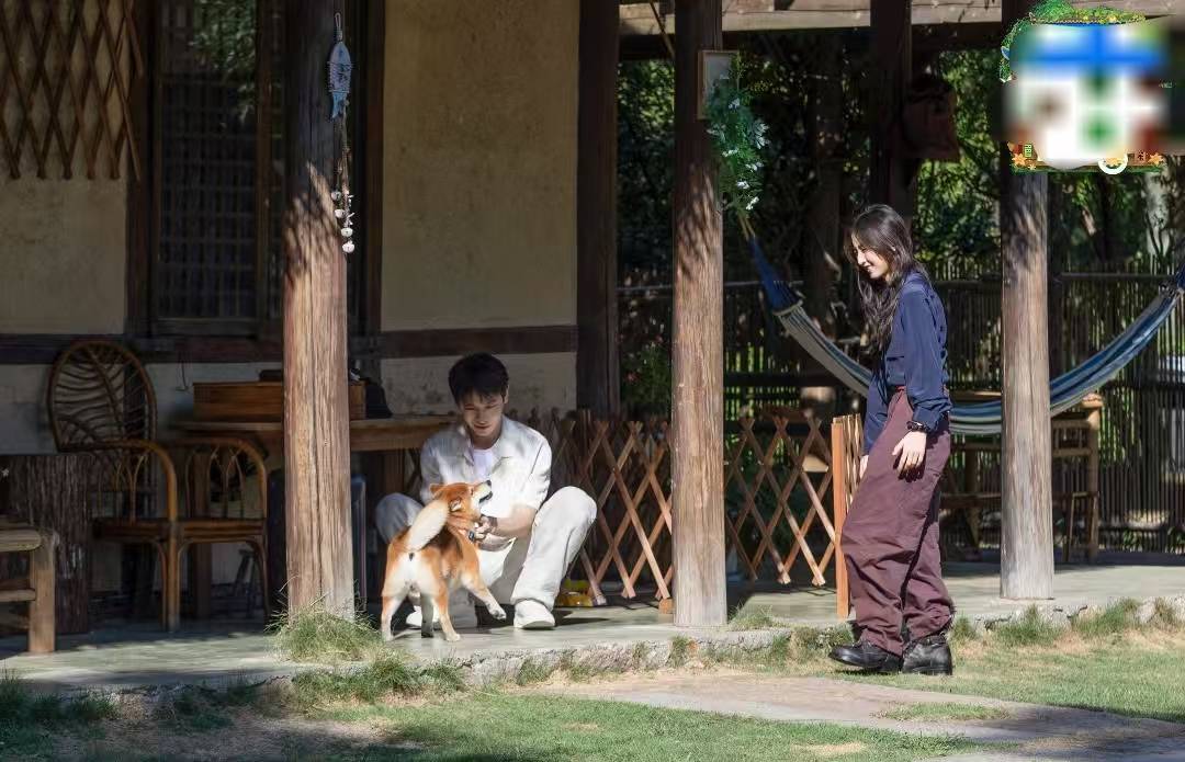 原创            孙红雷的话没说错！55岁带呼吸机的黄磊，给所有中年男性提了个醒