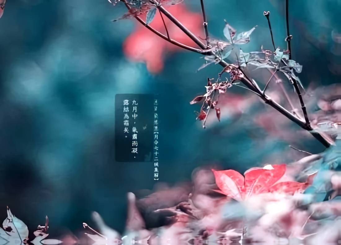 霜降时节科学 “贴秋膘” 指南