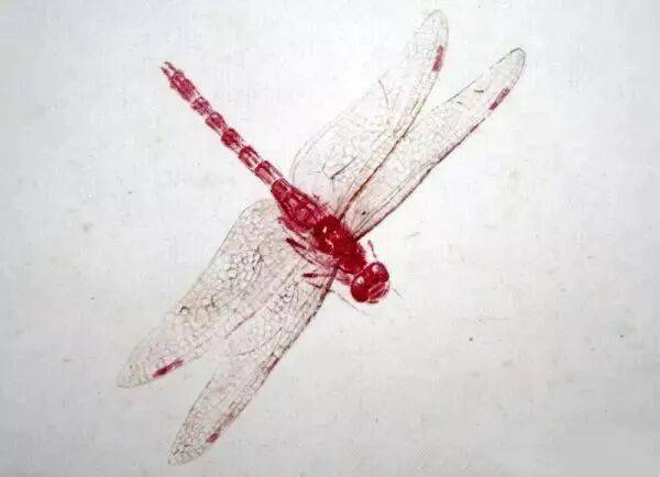 齐白石草虫真迹22幅！