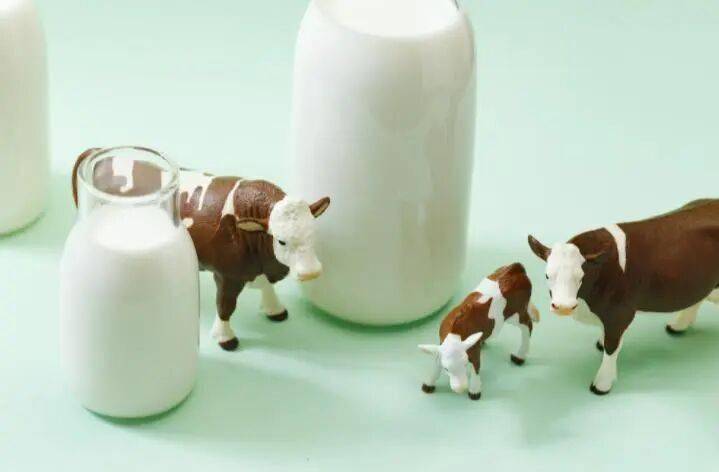 经常喝牛奶和从不喝牛奶的人，谁的身体更好？医生答案让人意外！