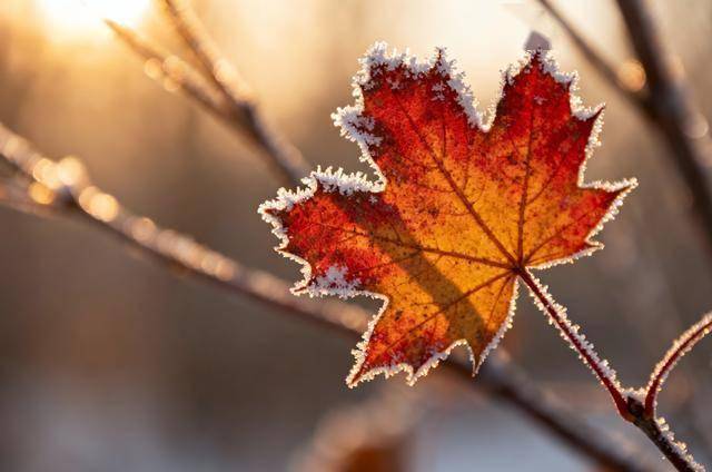 凛冬将至，这几个呼吸小妙招请收好！