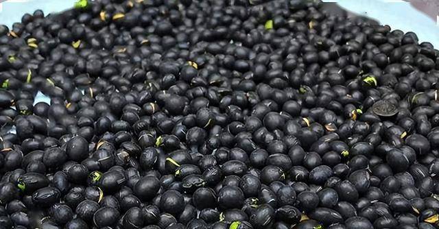 它是脱发的“克星”，别看不起眼，一周3次，调血养肾、美容护发