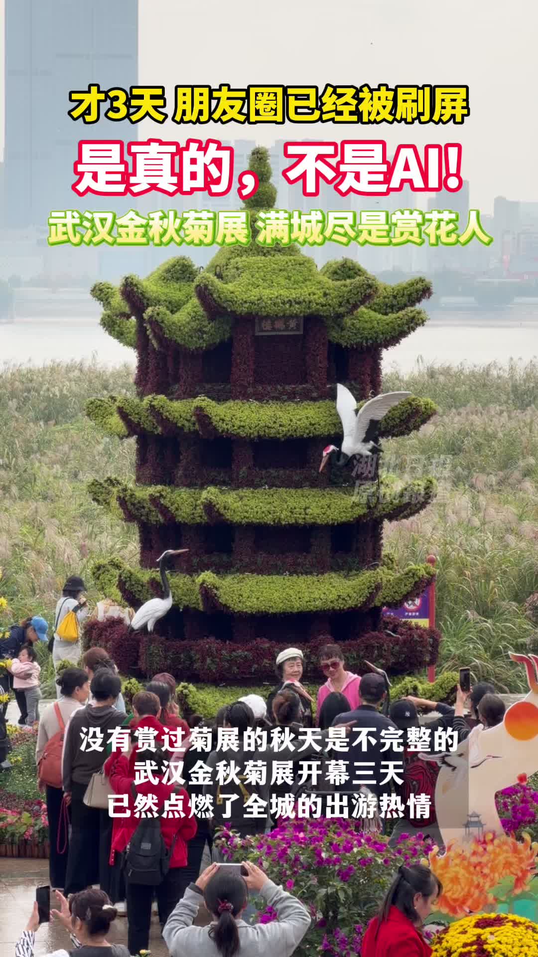 一秒穿越“AI世界”？这些都是真的！武汉的秋天美到“犯规”
