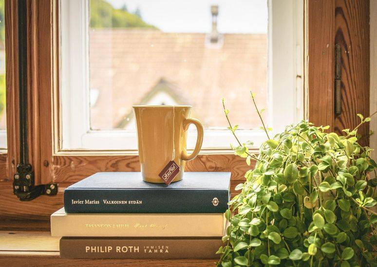 亚克力绿植架把春天挂墙上，超浪漫的艺术品