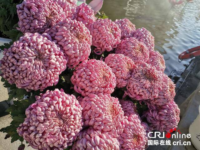 【2025打卡中国】外国网红“创作魂”燃了！集体“入坑”中国书法拓印